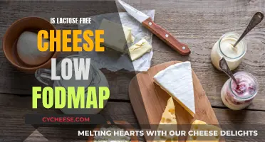 Lactose-Free Cheese: A Low-FODMAP Diet Option?