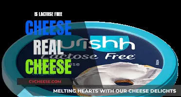 Lactose-Free Cheese: Real Cheese or Not?