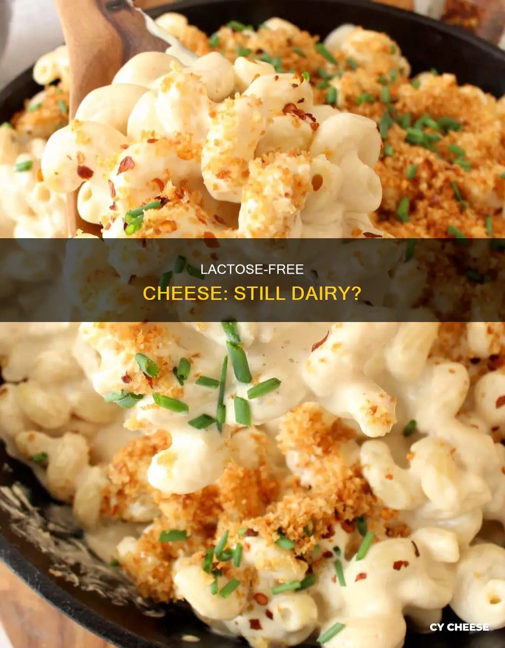 is lactose free cheese still dairy