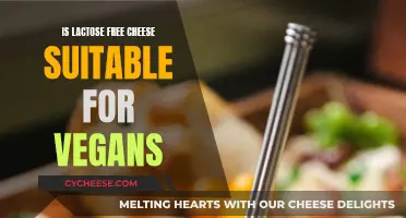 Lactose-Free Cheese: Vegan-Friendly or Not?