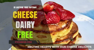 Is Lactose-Free Cottage Cheese Dairy-Free? Unraveling the Confusion