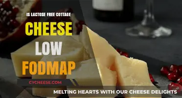 Lactose-Free Cottage Cheese: Is It Low FODMAP Friendly?