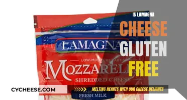 Gluten-Free Diet: Is LaManagna Cheese Safe to Eat?