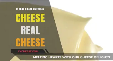 Is Land O'Lakes American Cheese Real Cheese? Uncovering the Truth