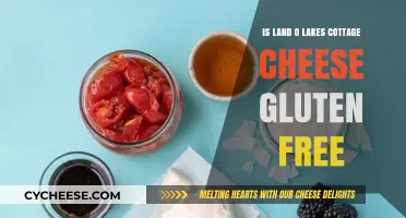 Is Land O'Lakes Cottage Cheese Gluten-Free? A Complete Guide