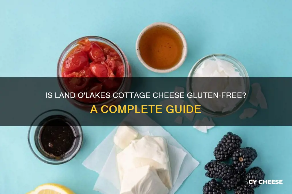 is land o lakes cottage cheese gluten free
