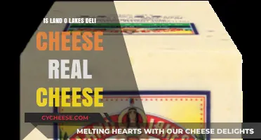 Is Land O'Lakes Deli Cheese Real? Uncovering the Truth