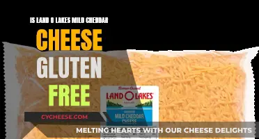 Land O' Lakes Mild Cheddar: Gluten-Free Cheese Delight