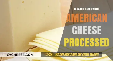 Is Land O'Lakes White American Cheese Processed? Uncovering the Truth