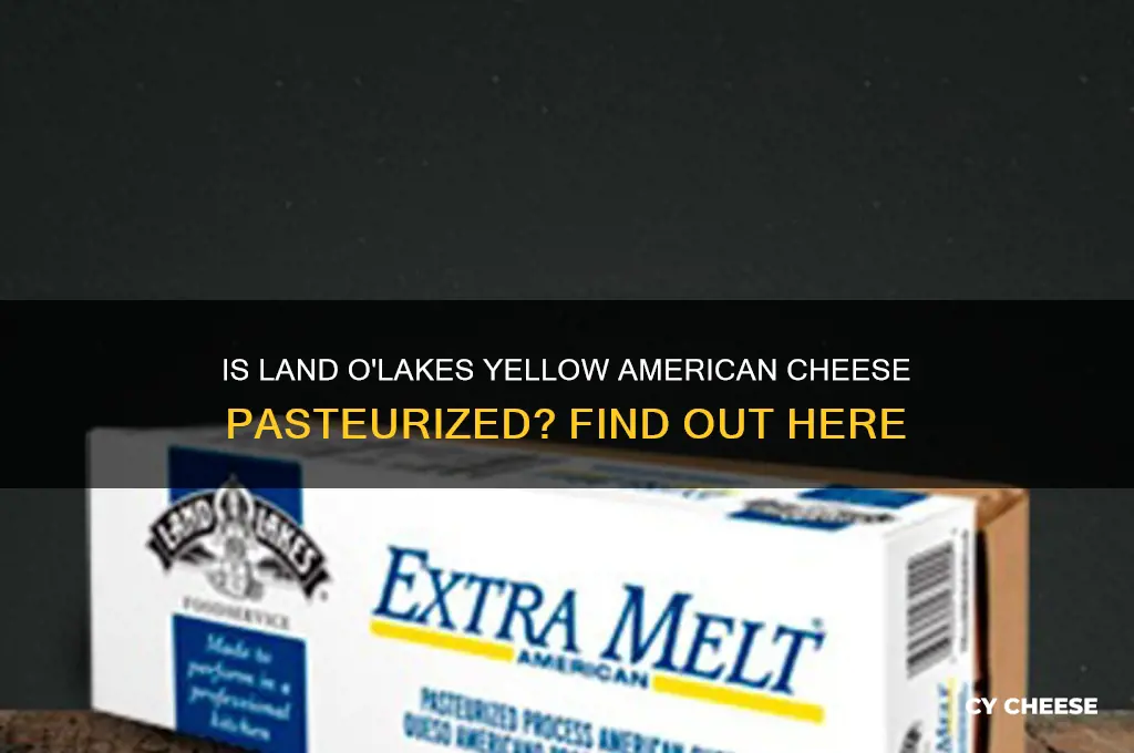 is land o lakes yellow american cheese pasteurized