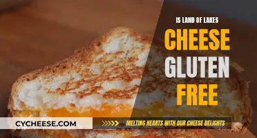 Land O Lakes Cheese: Gluten-Free Options