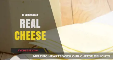 Is Land O'Lakes Real Cheese? Uncovering the Truth Behind the Brand