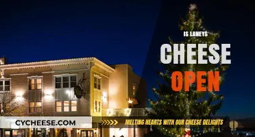 Is Laney's Cheese Open? Check Hours and Availability Here