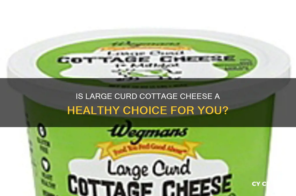 is large curd cottage cheese healthy