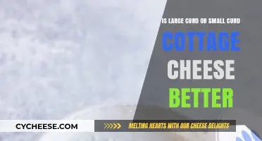 Large vs. Small Curd Cottage Cheese: Which is Better?