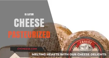 Is Latur Cheese Pasteurized? Understanding Its Production and Safety