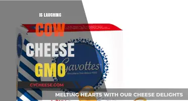 Is Laughing Cow Cheese GMO? Uncovering the Truth About Ingredients