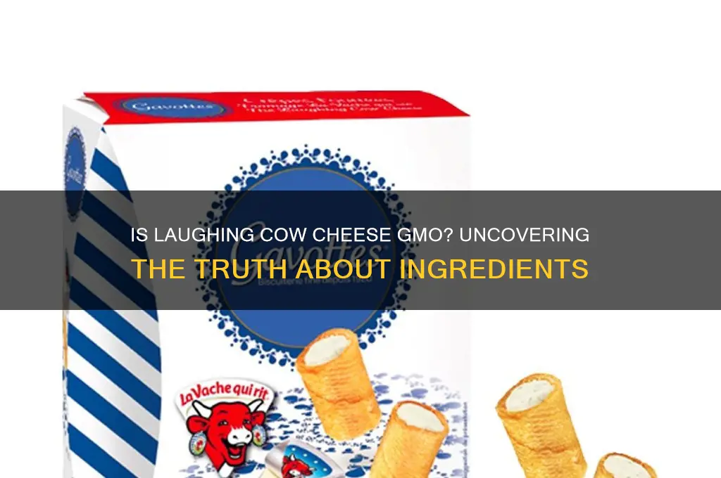 is laughing cow cheese gmo