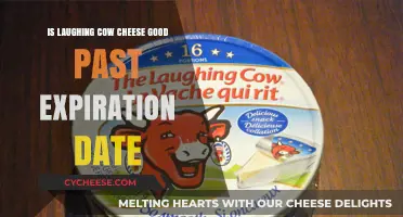 Is Laughing Cow Cheese Safe to Eat After Expiration Date?