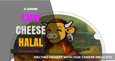 Is Laughing Cow Cheese Halal? Exploring Ingredients and Certification