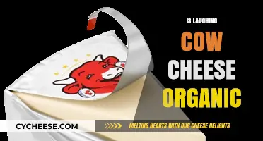 Is Laughing Cow Cheese Organic? Uncovering the Truth Behind the Label