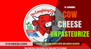 Is Laughing Cow Cheese Unpasteurized? Facts You Need to Know