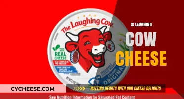 Is Laughing Cow Cheese Healthy? Unwrapping the Truth About This Snack