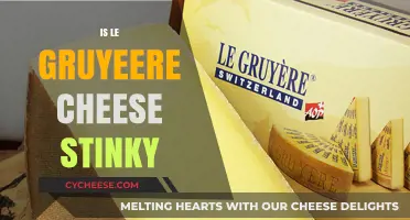 Is Gruyère Cheese Stinky? Unraveling the Truth About Its Aroma