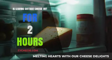 Is Cottage Cheese Safe After 2 Hours Unrefrigerated? Find Out!