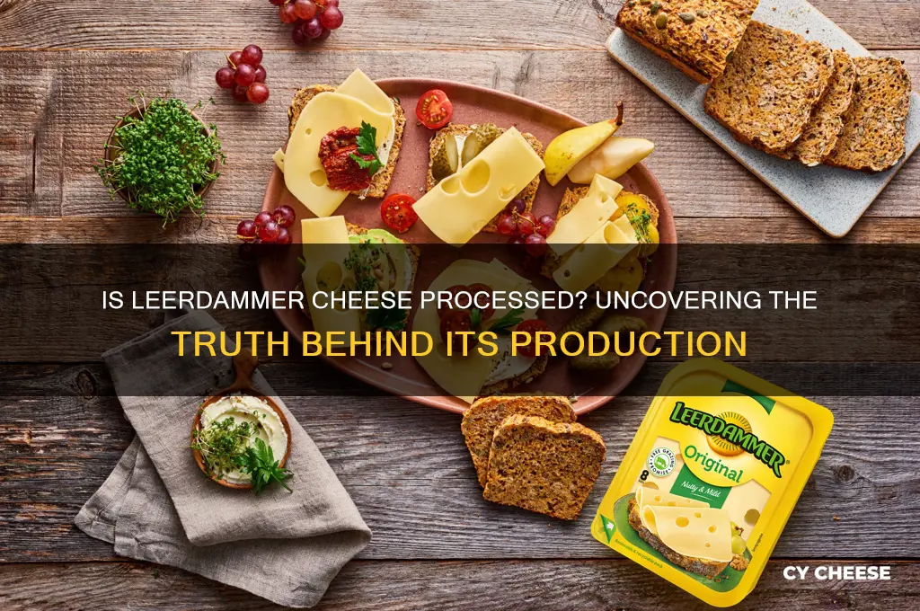 is leerdammer cheese processed