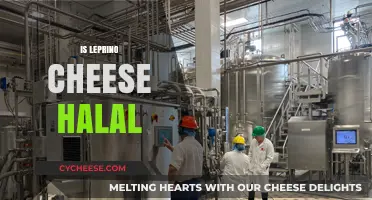 Is Leprino Cheese Halal? Exploring Ingredients and Certification
