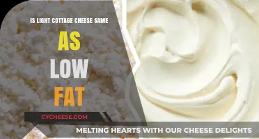 Is Light Cottage Cheese the Same as Low-Fat? Key Differences Explained