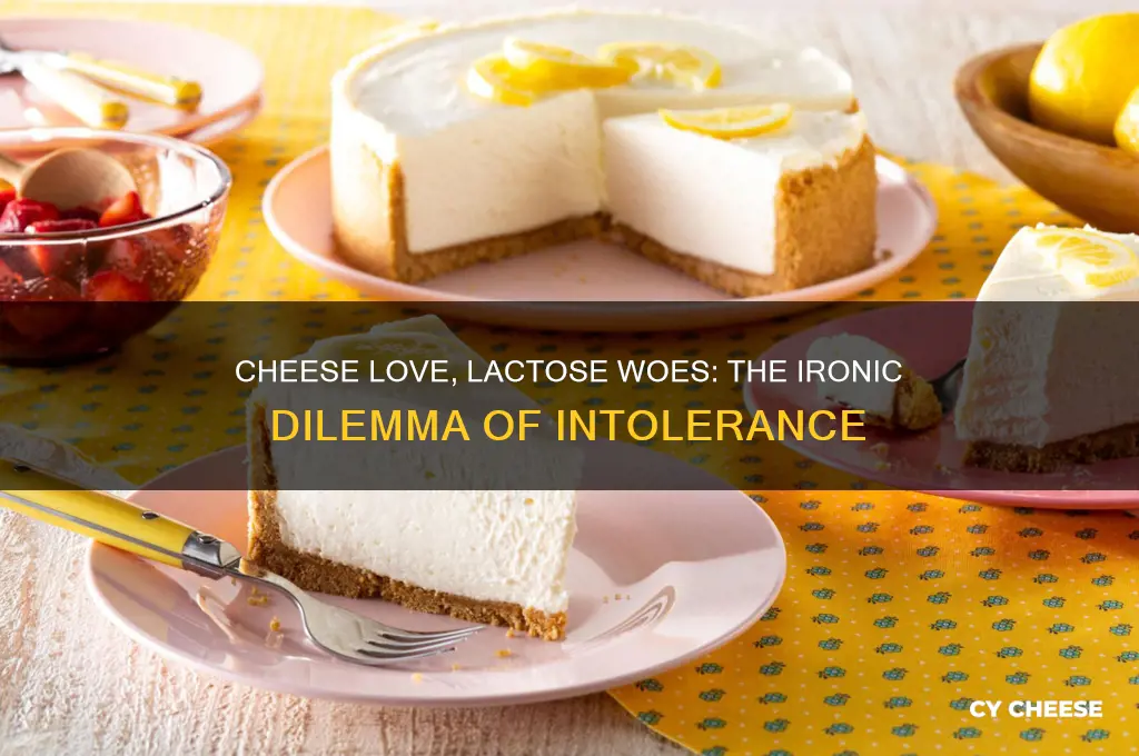 is liking cheese but being lactose intolerance irony