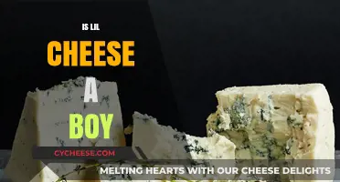 Is Lil Cheese a Boy? Unraveling the Mystery Behind the Name