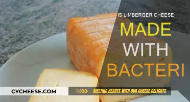 The Bacterial Basis of Limberger Cheese