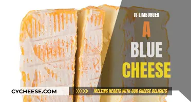 The Truth About Limburger: Blue Cheese or Not?
