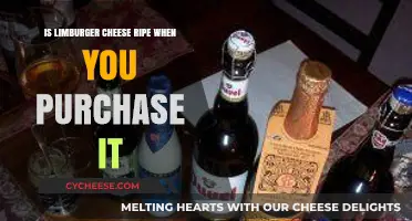 Is Limburger Cheese Ripe When You Buy It? A Guide