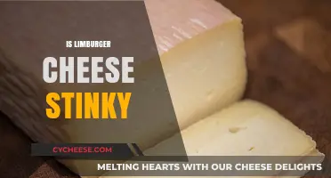 Is Limburger Cheese Stinky? Unraveling the Smelly Truth Behind This Cheese