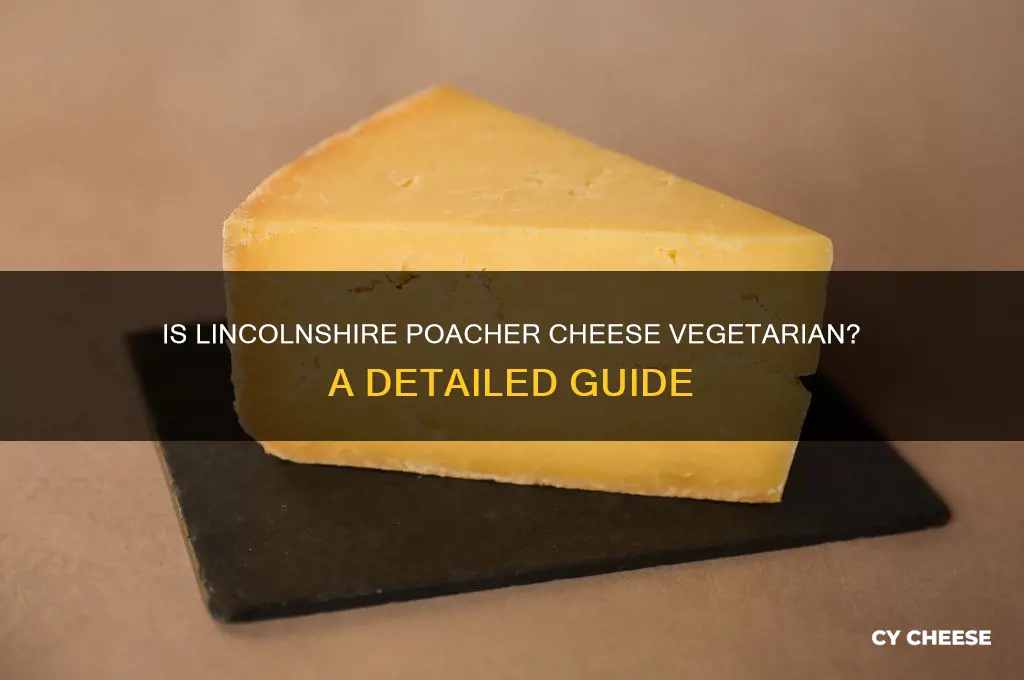 is lincolnshire poacher cheese vegetarian