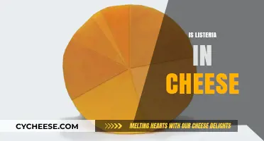 Listeria in Cheese: Risks, Prevention, and Safe Consumption Tips