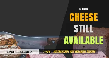 Is Liver Cheese Still Available? Exploring Its Current Availability and Popularity