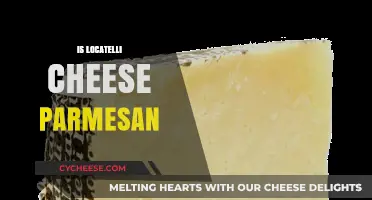 Locatelli Cheese: Is It Parmesan?