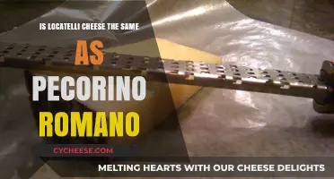 Locatelli vs. Pecorino Romano: Unraveling the Cheese Confusion
