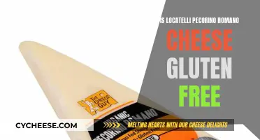 Gluten-Free Locatelli Pecorino Romano Cheese: Is It Safe?