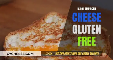 Gluten-Free American Cheese: Is LOL Safe?