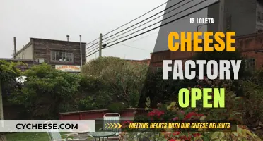 Is Loleta Cheese Factory Open? Current Hours and Visitor Info