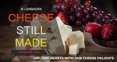 Longhorn Cheese Legacy: Past, Present, and Future