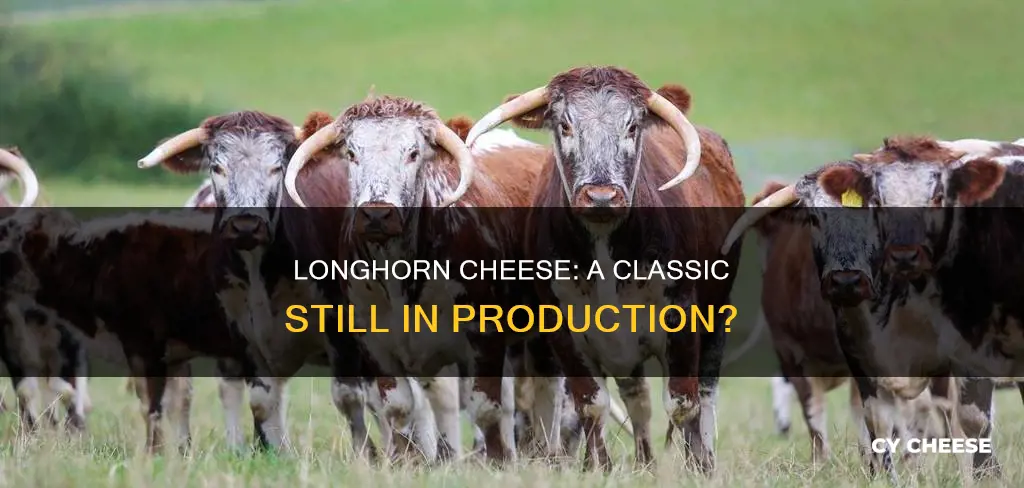 is longhorn cheese still made