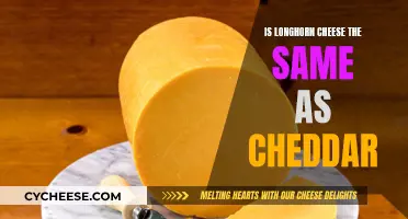 Longhorn vs. Cheddar: Unraveling the Cheese Mystery