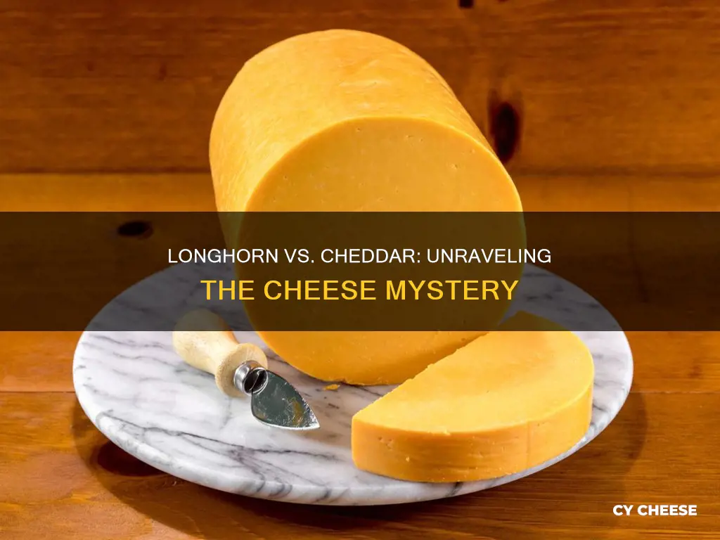 is longhorn cheese the same as cheddar